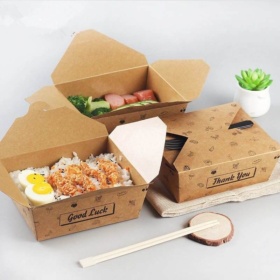 Kraft Disposable Food Box